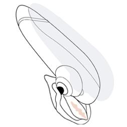 Womanizer Premium White/Chrome stimulátor klitorisu